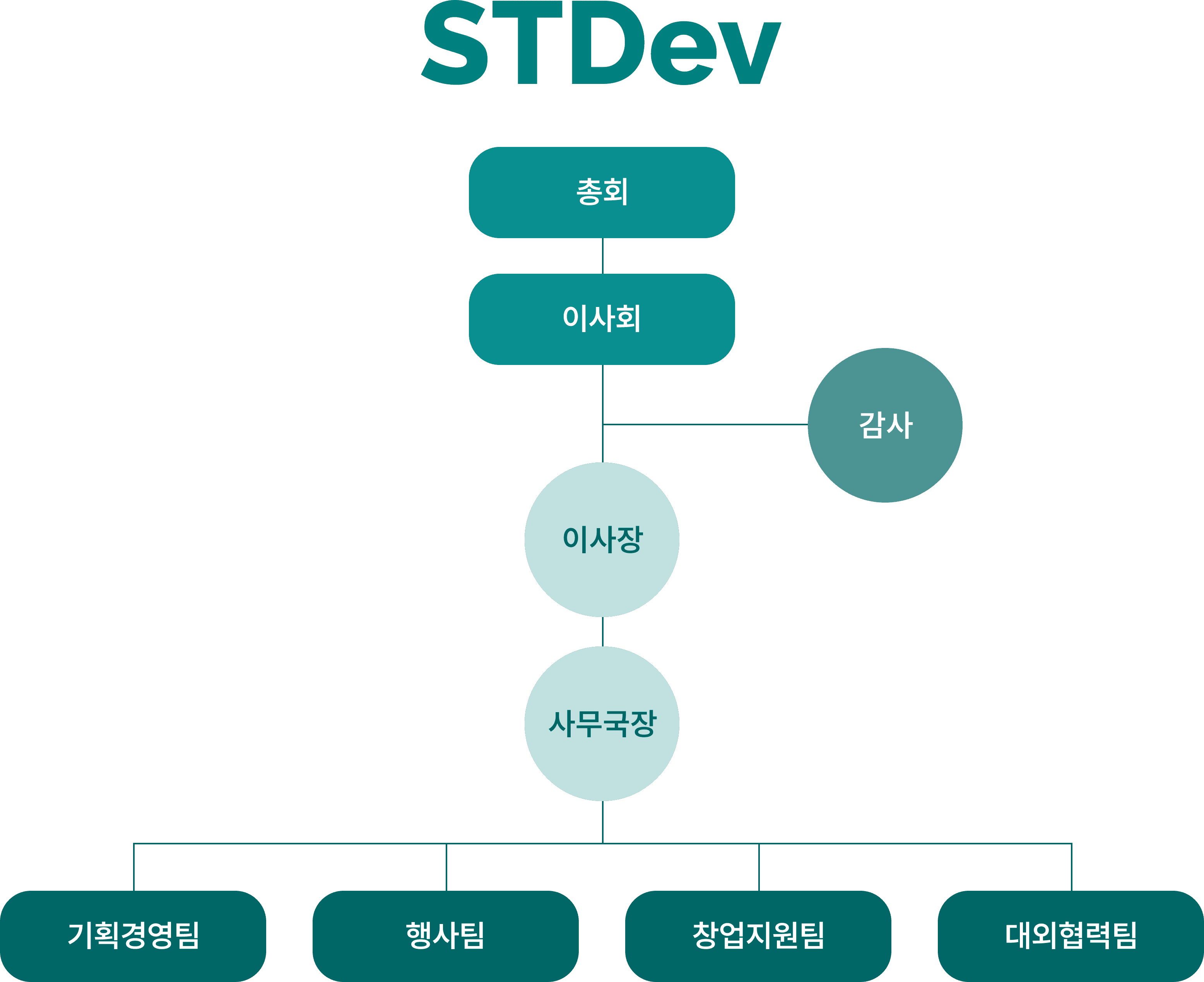 사단법인 에스티데브 조직도